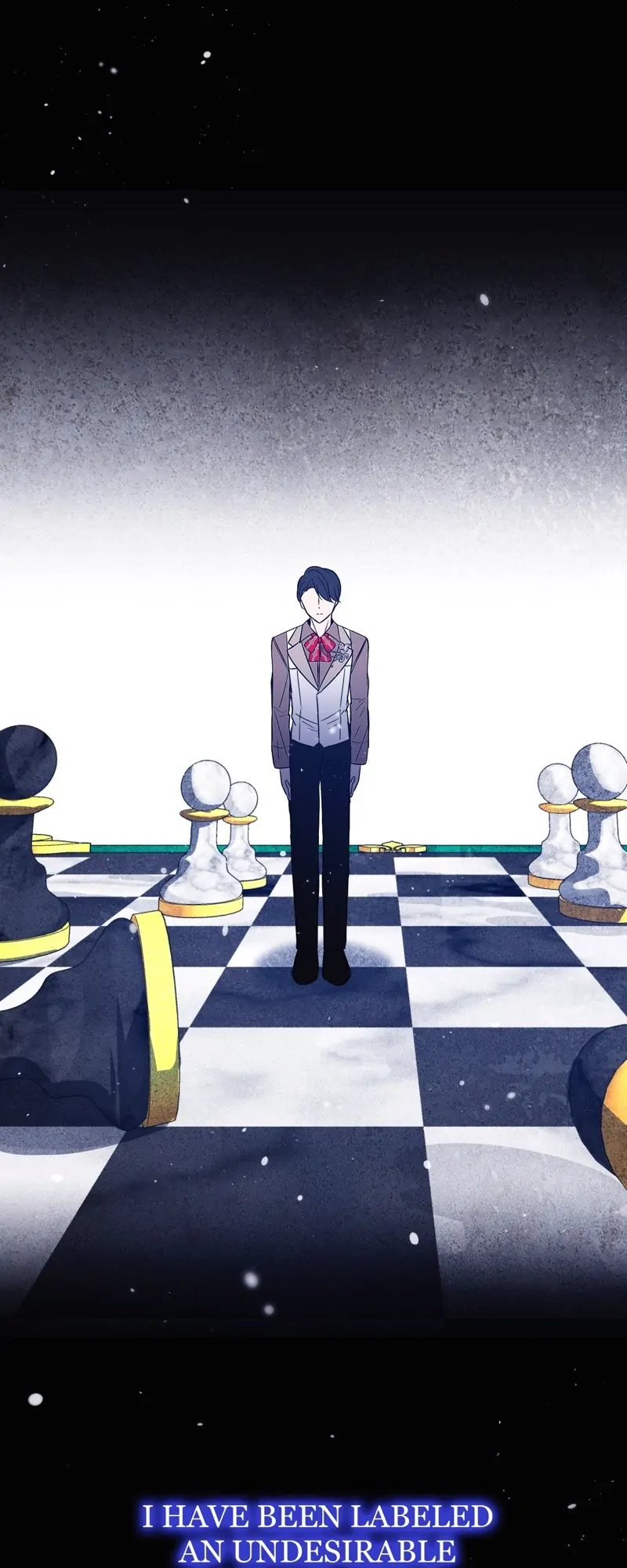 46529495 800 2000 96496